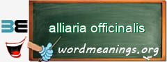 WordMeaning blackboard for alliaria officinalis